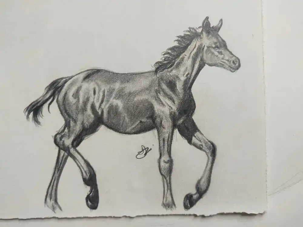 Dessin réalisé par Tamara Petit