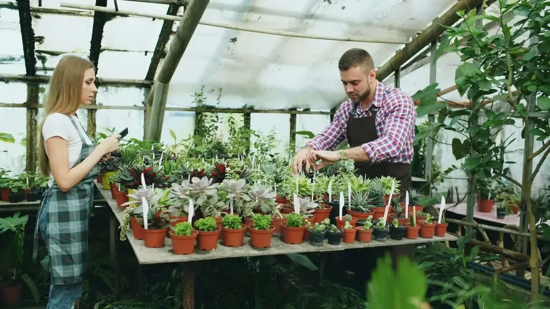 Image Horticulteur