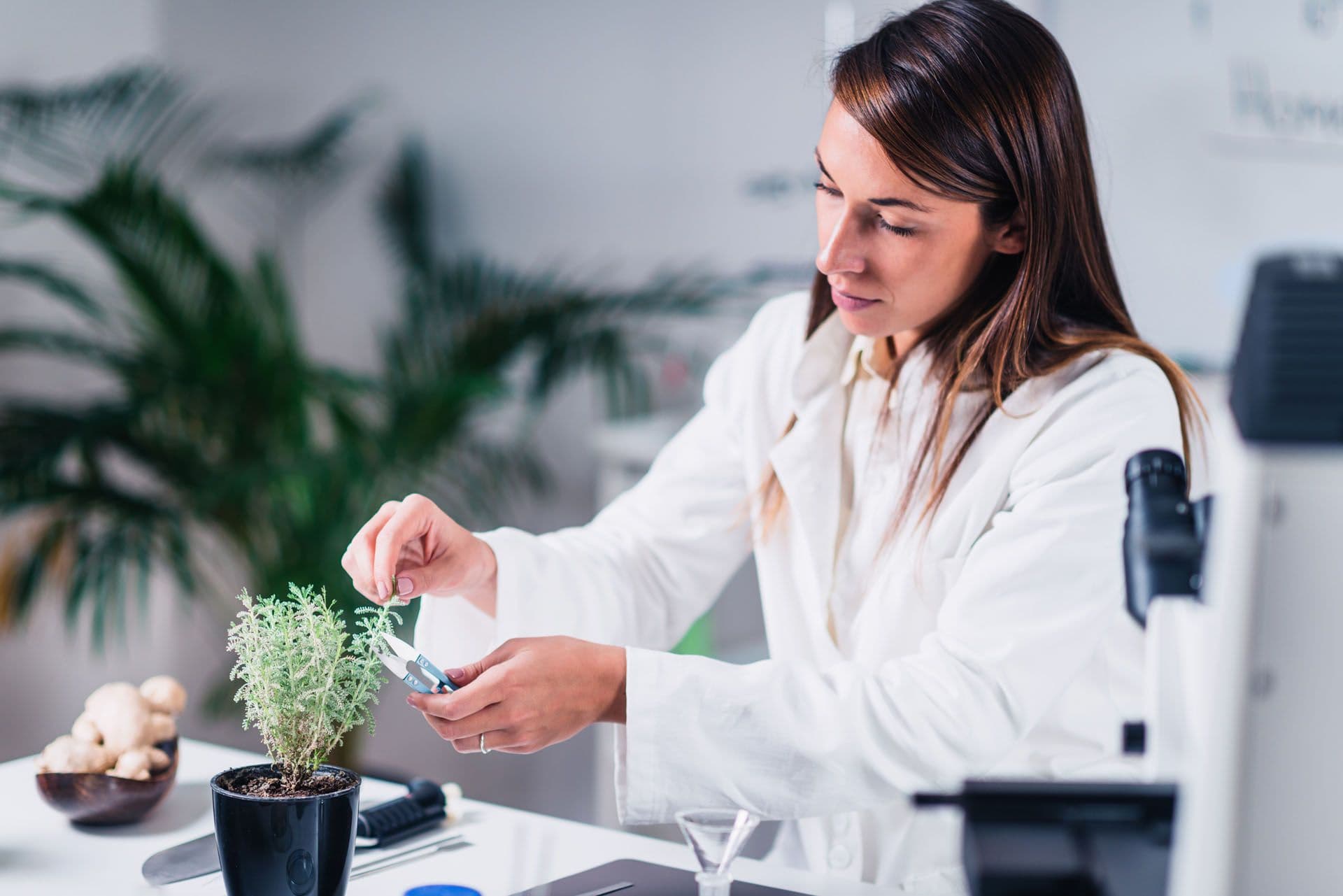 Profession Naturopathe image