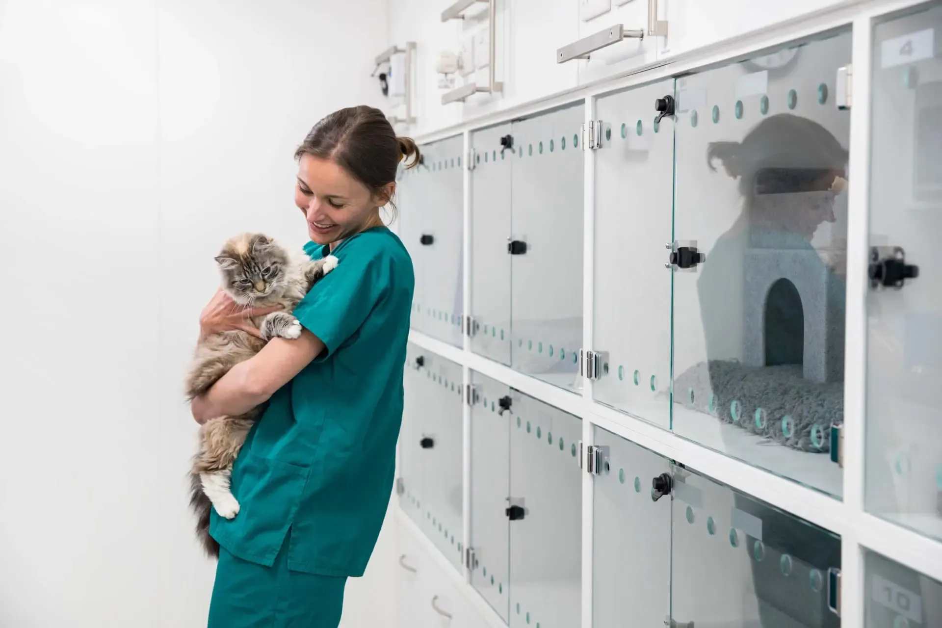 Formation Offre duo Auxiliaire de santé animale - Soigneur animalier image