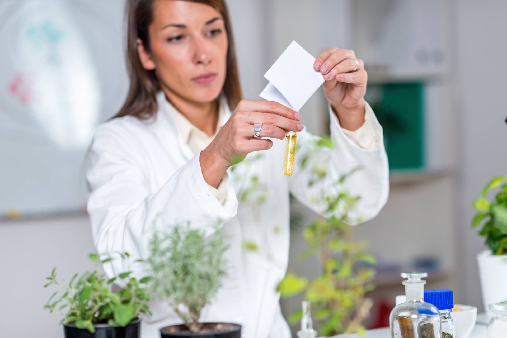 Formation Formation Praticien en naturopathie image