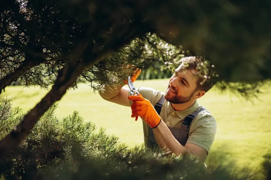 Image Pourquoi se former aux métiers des espaces verts et de la nature ?