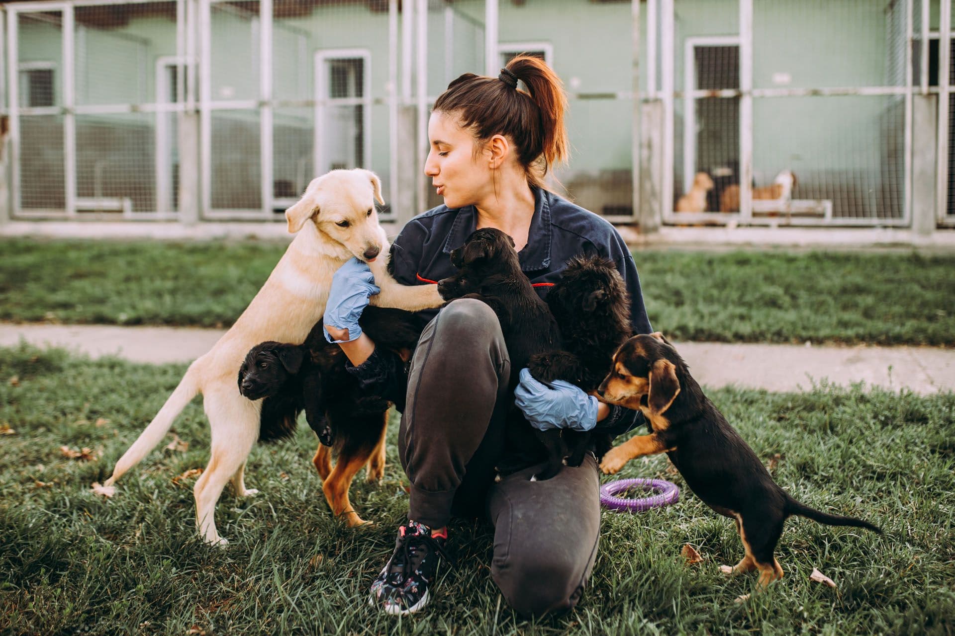 Une femme ayant suivi une formation du secteur animalier.