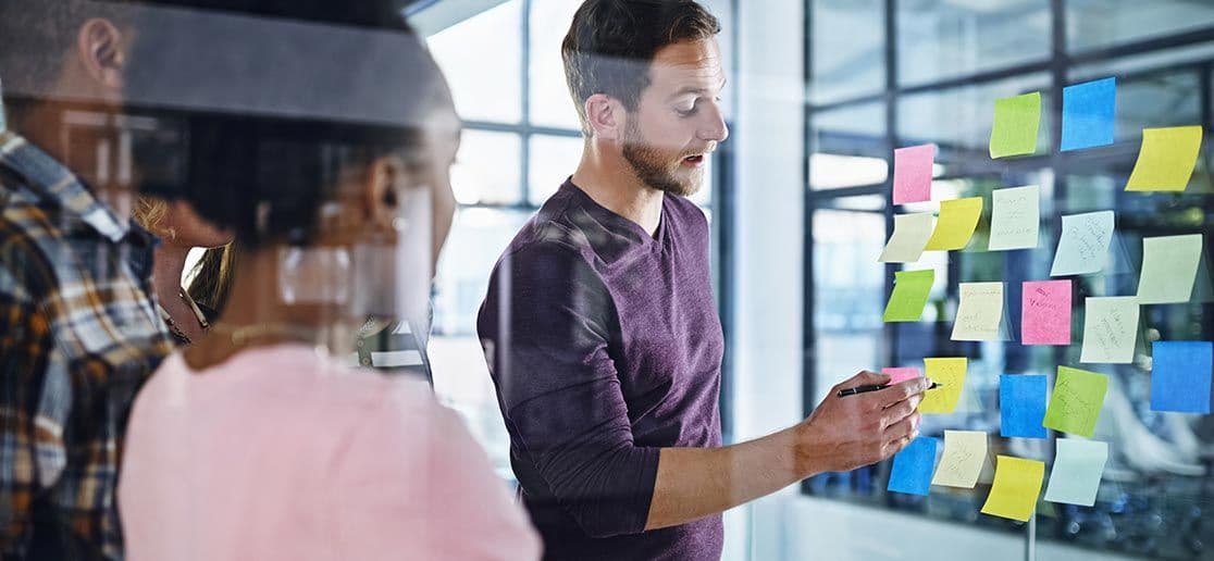 Image Les compétences transversales nécessaires pour une carrière durable