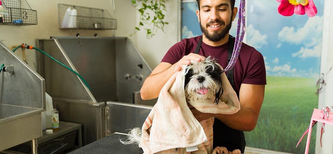 Image Les métiers de l’animalier : un secteur passion qui recrute