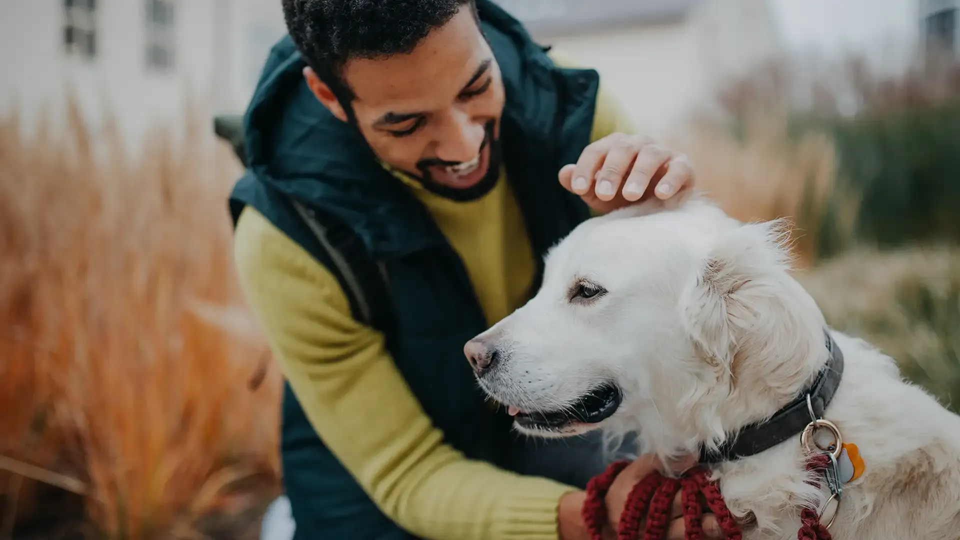 Formation Formation Pet-Sitter image