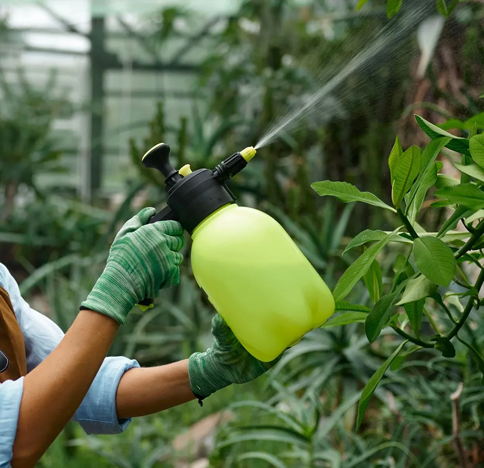 Apprenant en formation horticulture appliquant un traitement biologique sur des plantes à l’aide d’un pulvérisateur lors d’un atelier pratique sous serre