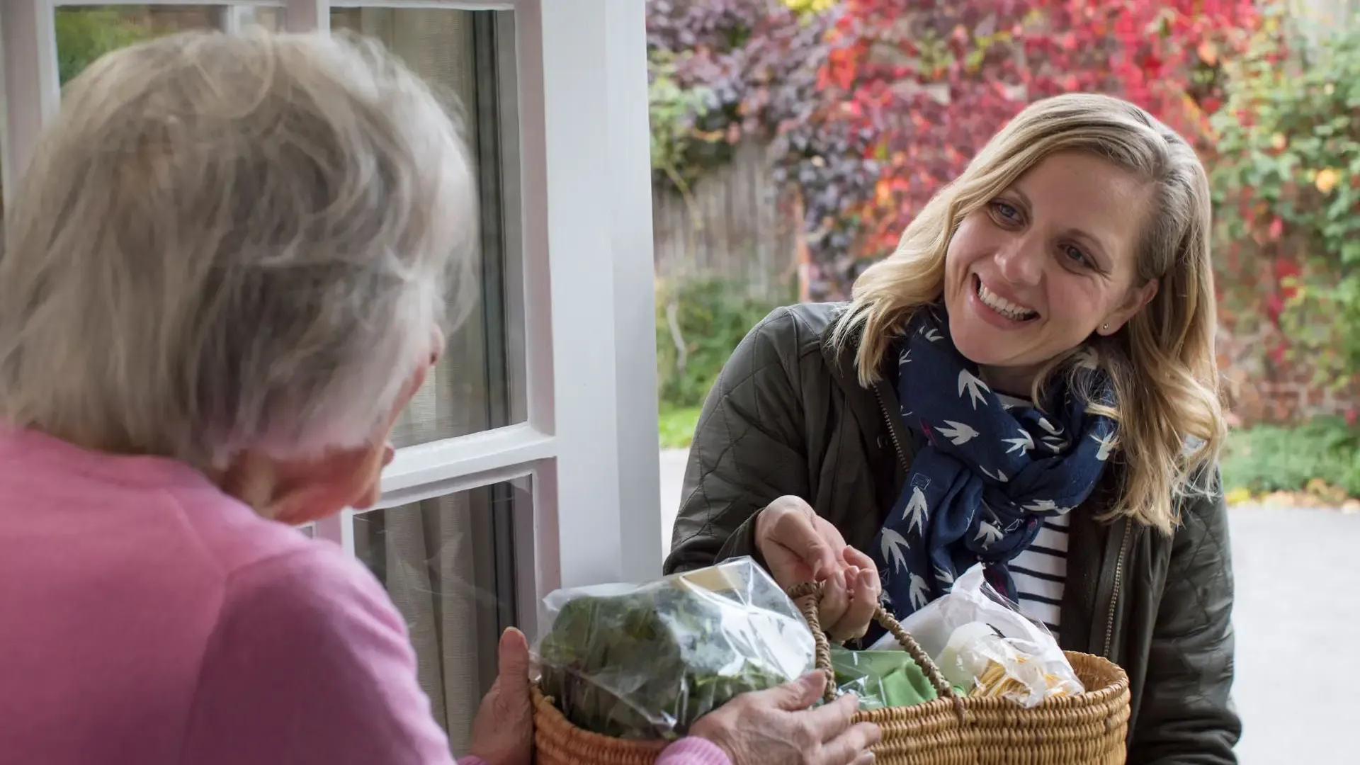 Formation Formation ADVF en ligne image